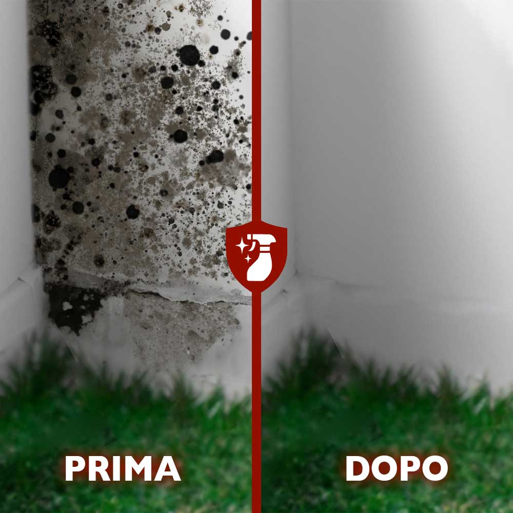 Algaut - Risanante murale - 0.75L