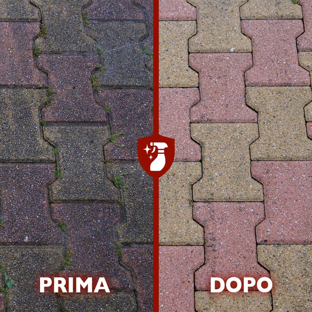 Muffaut Polvere - Togli muffa concentrato - 0.75KG