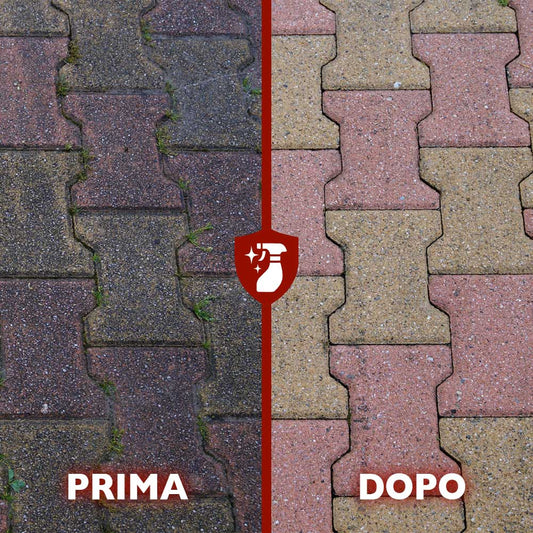 Muffaut Polvere - Togli muffa concentrato - 0.75KG